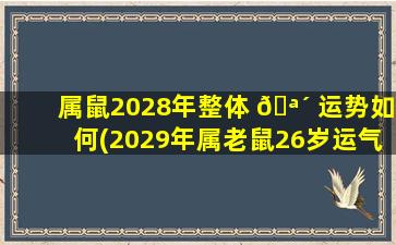 属鼠2028年整体 🪴 运势如何(2029年属老鼠26岁运气好吗)